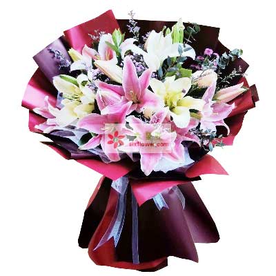 德阳8支百合花，天天开心